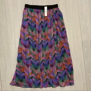 RD + Koko - Anthropologie Skirt